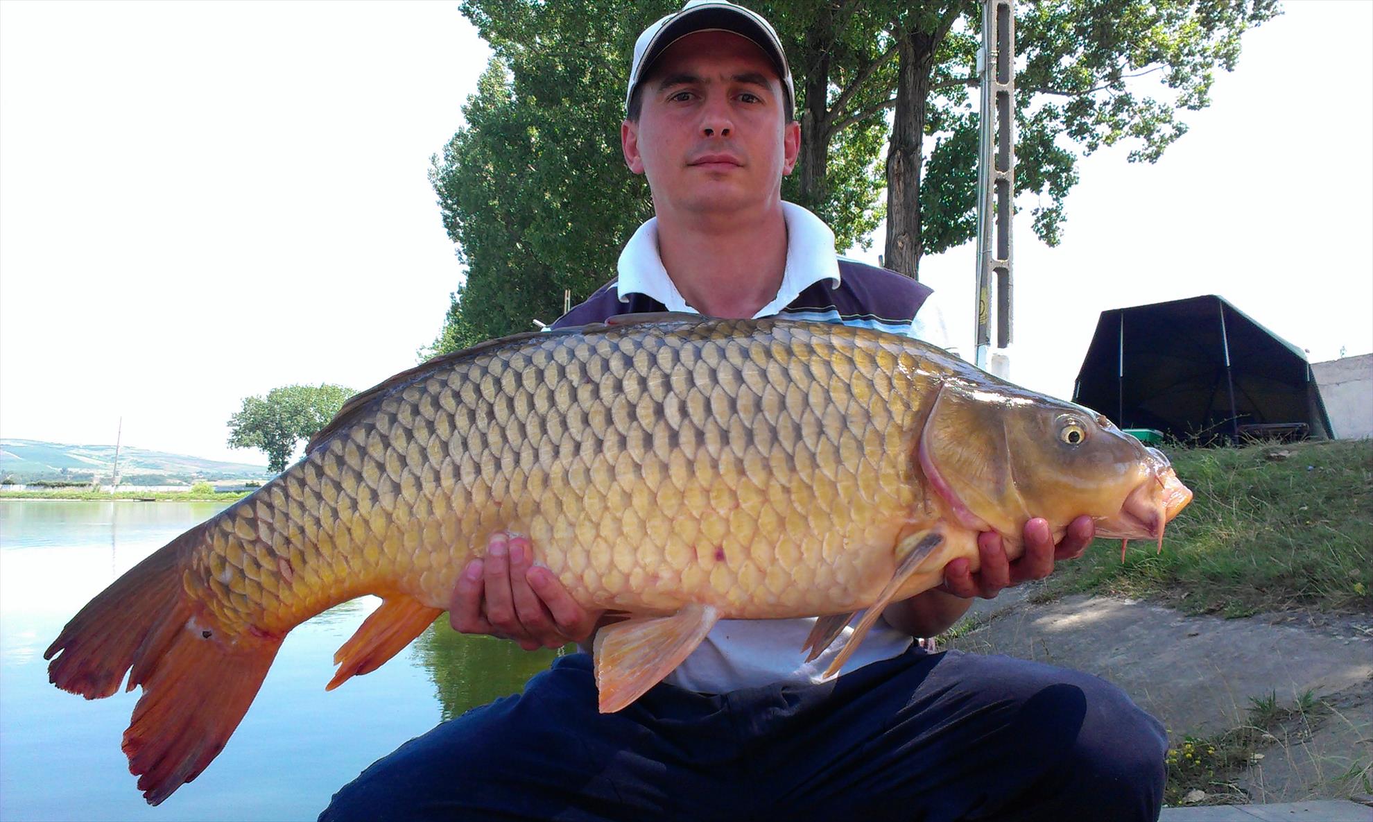 Pescuit - 10kg - 28.07.13 - Pleasa1